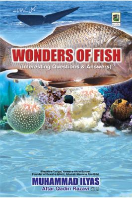 Wonders Of Fish
