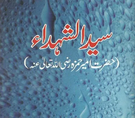 Syed Ul Shohada Amir Hamza